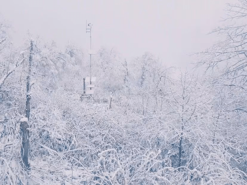 成都上热搜了！真真真下雪了！没看见的还可以去西岭雪山！