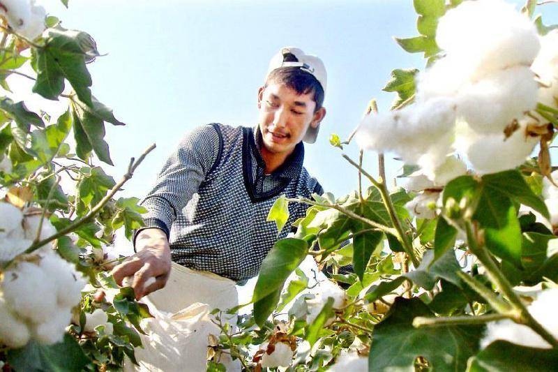 2020年新疆大专学院_新疆新增一所大学,2020年已招生教学,正在