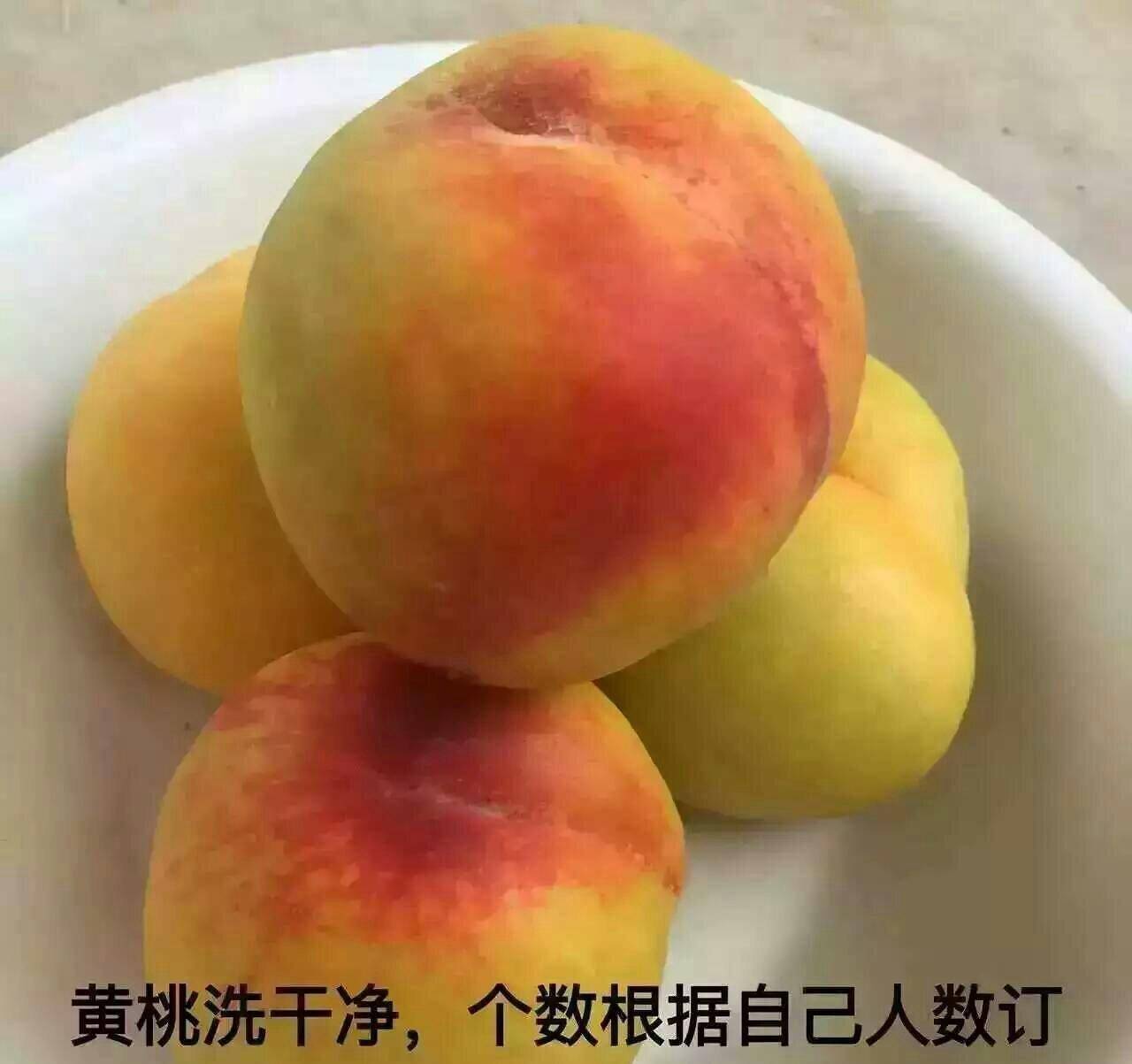 怎么做黄桃罐头纯手工纯天然 020b7332fdfd4b34bbc869eefe313aad.jpeg