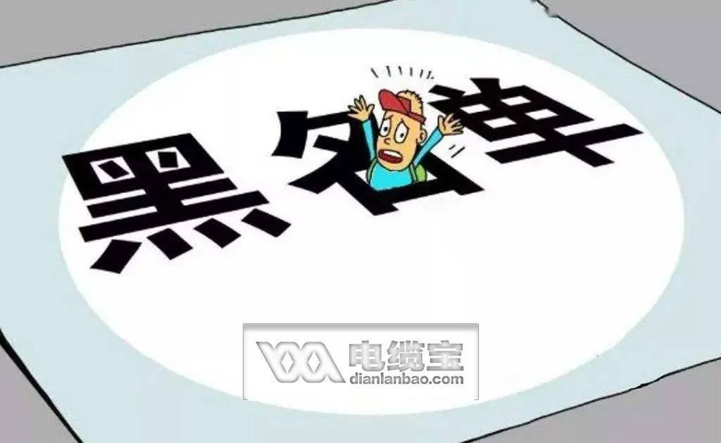 中辰电缆应收账款超营收 质量堪忧被多次暂停中标资格(图4)