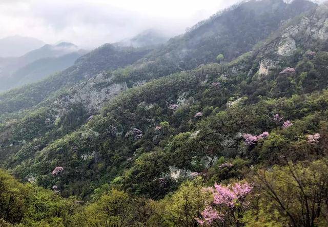 洛阳老君山春已至冬未尽，清明节遇见春天里的雪域王国