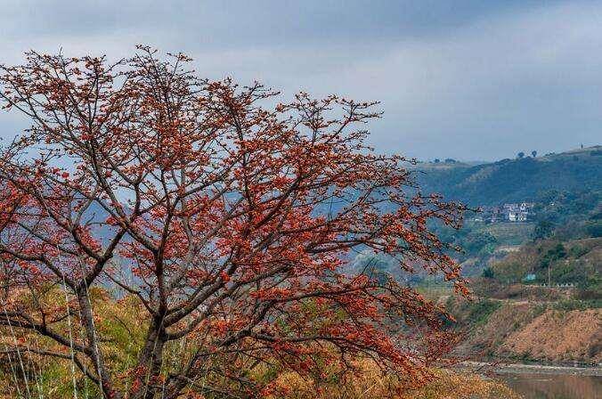 四川人均gdp最高的是攀枝花_四川一五线城市,人均GDP达8.6万元,堪比三线城市,小康指数超高