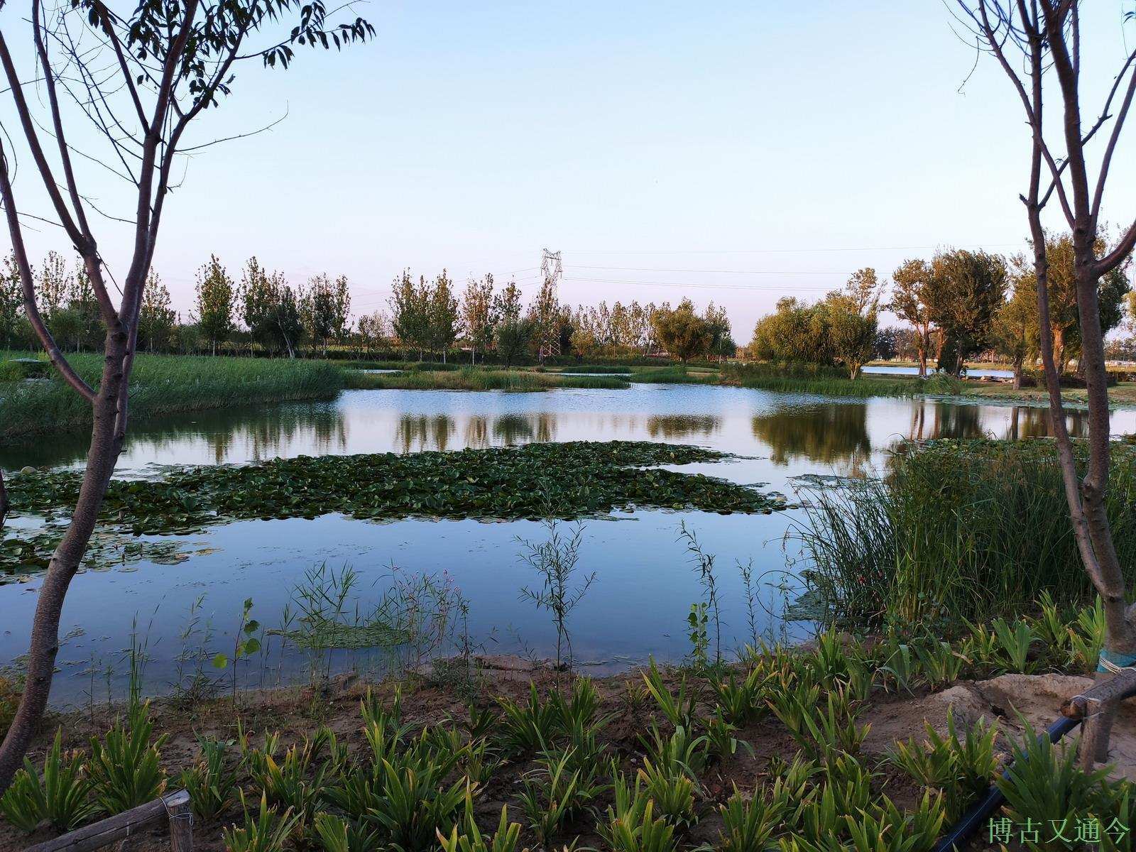 温榆河公园沙子营湿地西园,京城东北方向未来最大的绿色空间