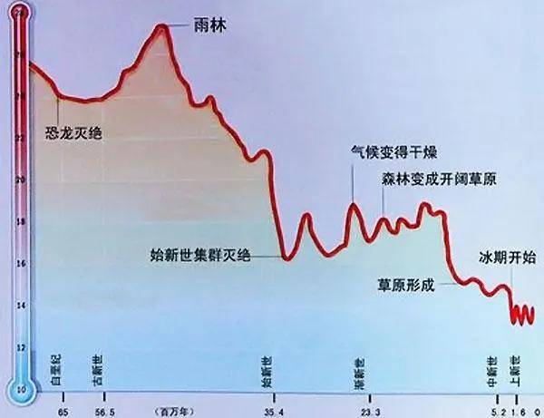 第四纪冰期时代人口_时代少年团图片