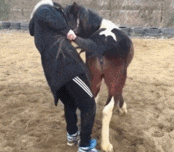 搞笑gif段子:单身太久的男生究竟有多可怕