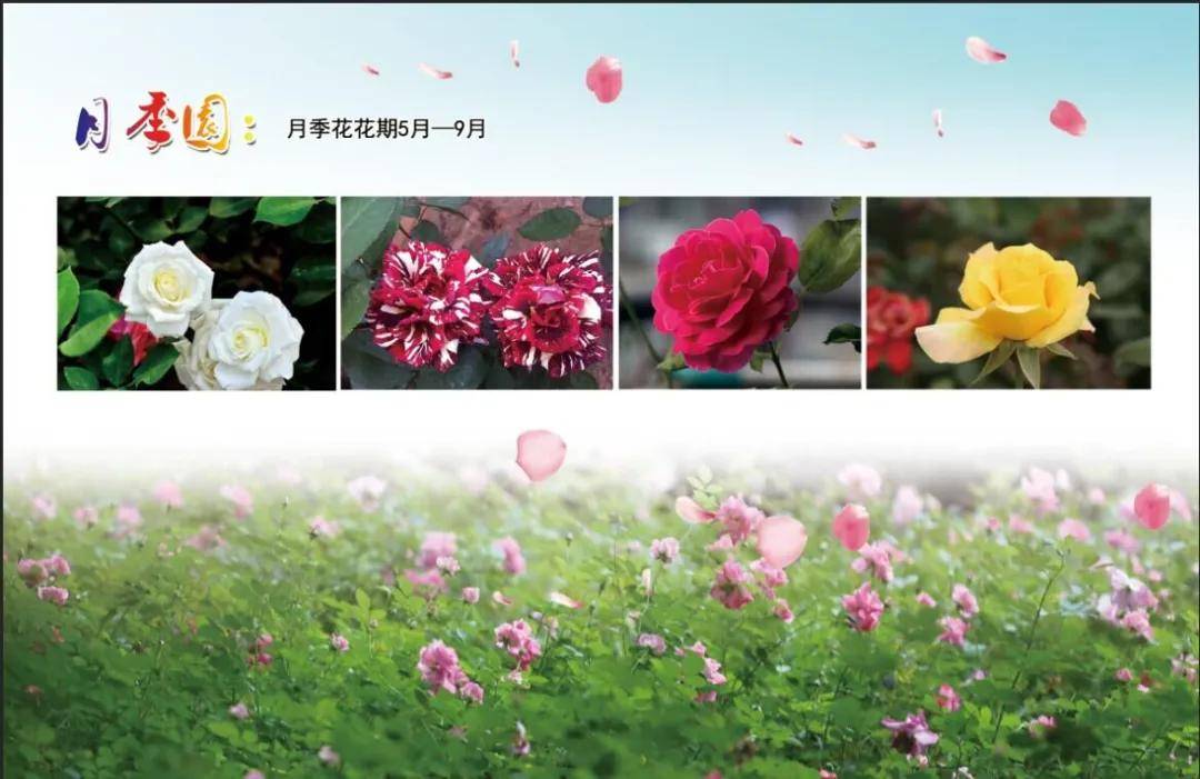 淮安市住房和城乡建设“十三五”成就回眸 淮安市住房和城乡建设“十三五”成就回眸