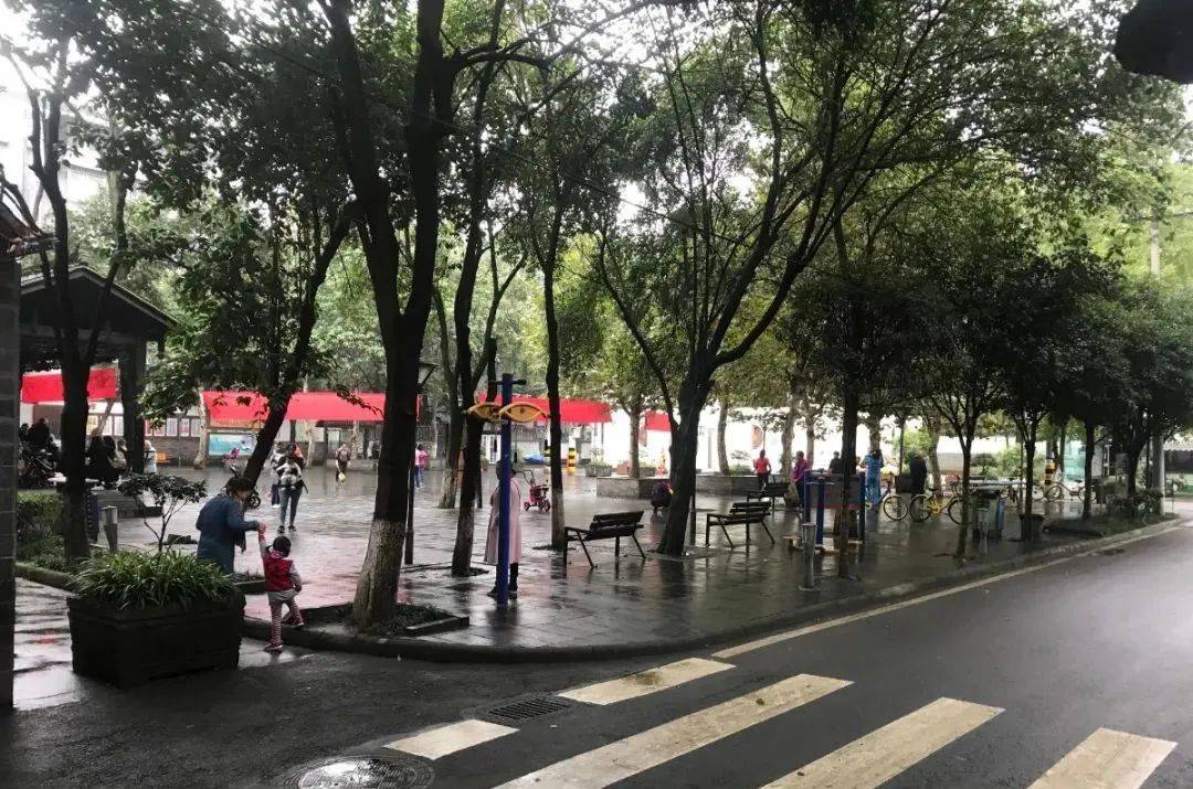 一起见证成都高新芳草街道的高颜值蝶变