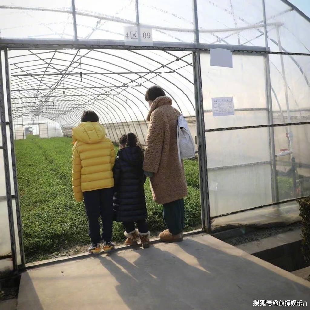 孙俪分享女儿小创意，小花用饼干拼出可爱卡通