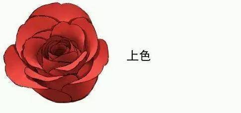 玫瑰花怎样画