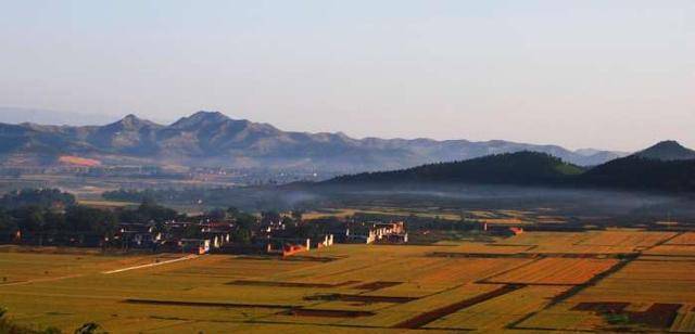 安阳GDP占比_安阳职业技术学院(2)