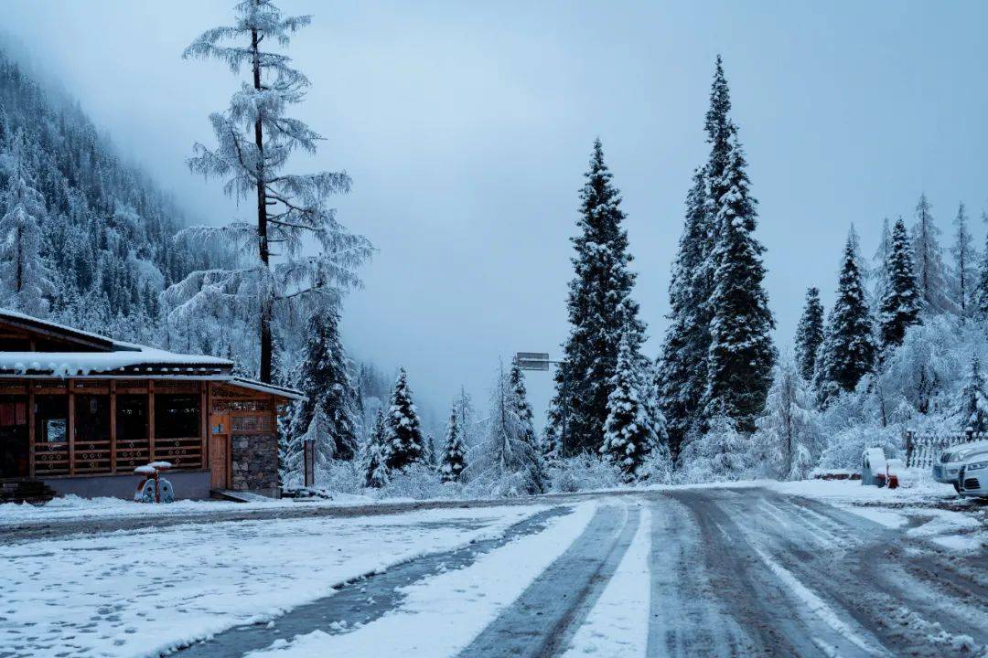 直播看雪!赏漫天雪花飞舞,看辽阔雪山美景,让人大呼终于实现看雪自由!