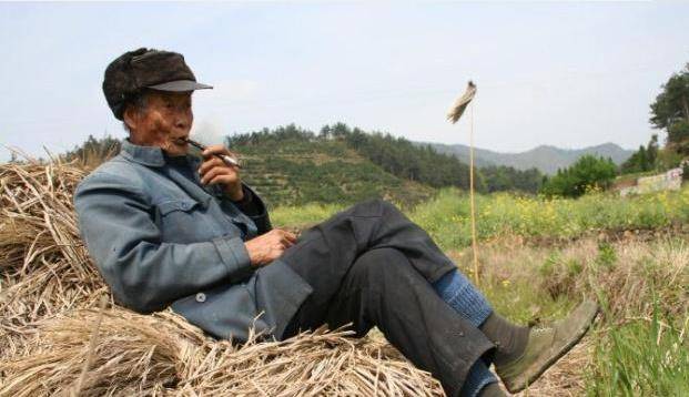 草什么门成语_草什么花什么成语(3)