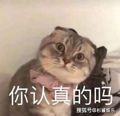 9279d7f794534bfc9f34fa053fed5b0c.jpeg