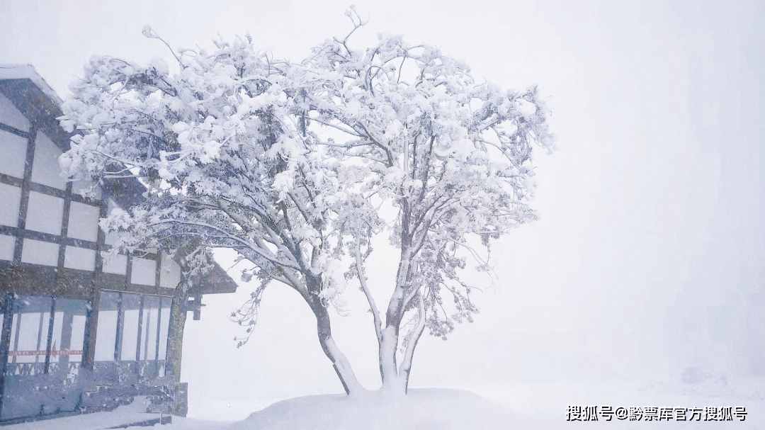 游览贵阳景区雪景图，带你了解它的浪漫！