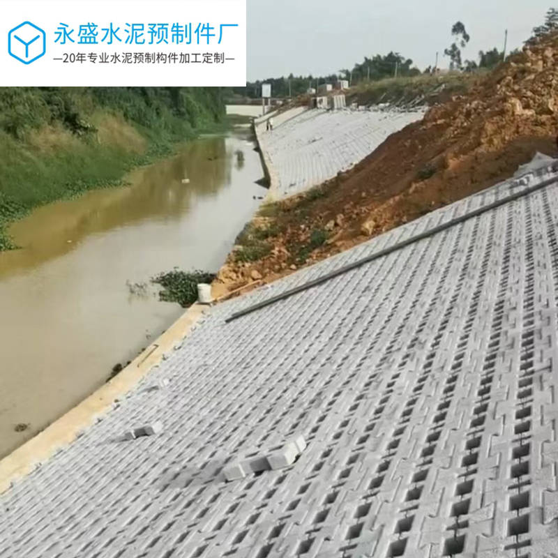 肇庆大旺工字连锁砖护坡工程项目案例