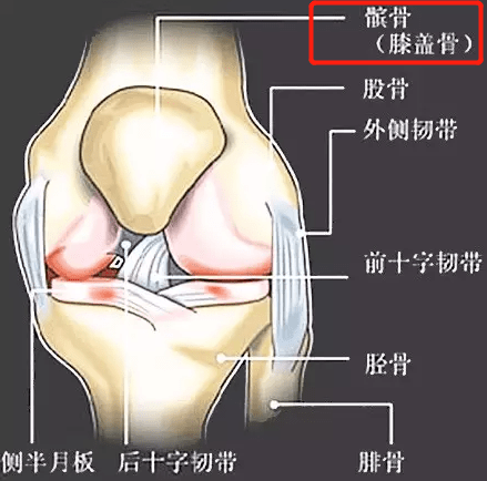 洪山骨科李剑波:上下楼,下蹲膝盖疼,关节有响声,膝关节髌骨软化能根治