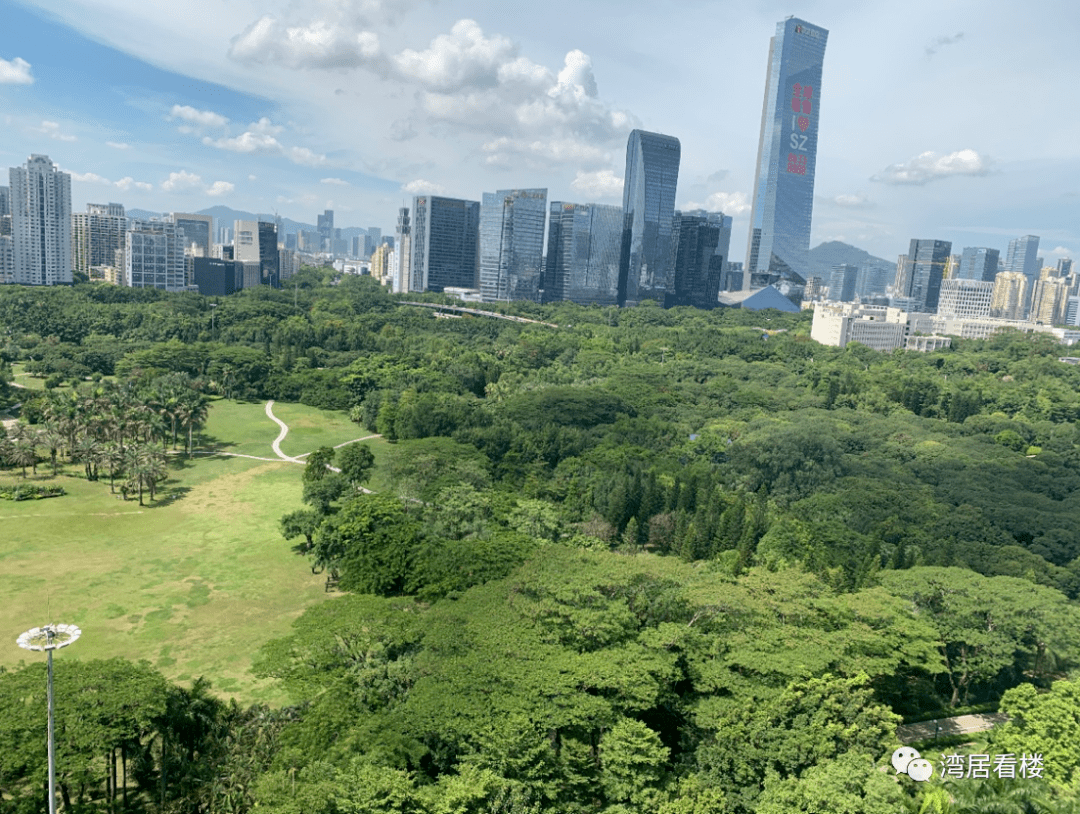 荔香公园向东延伸与深圳大学校园绿化相连,形成罕有的城市中心巨大