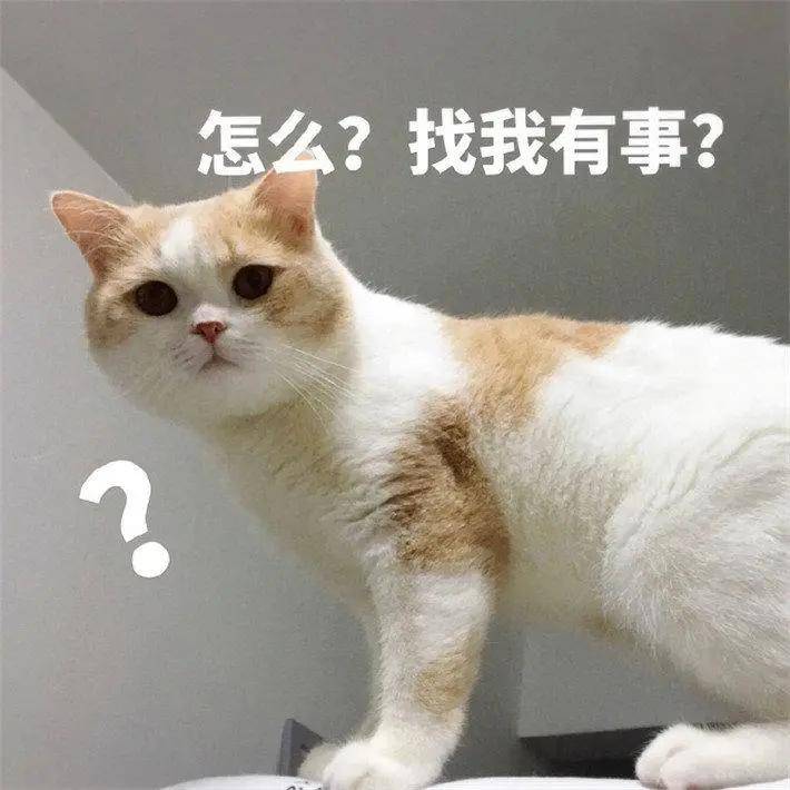 幽默搞笑表情包:又不是开视频,你洗澡干嘛跟我说?