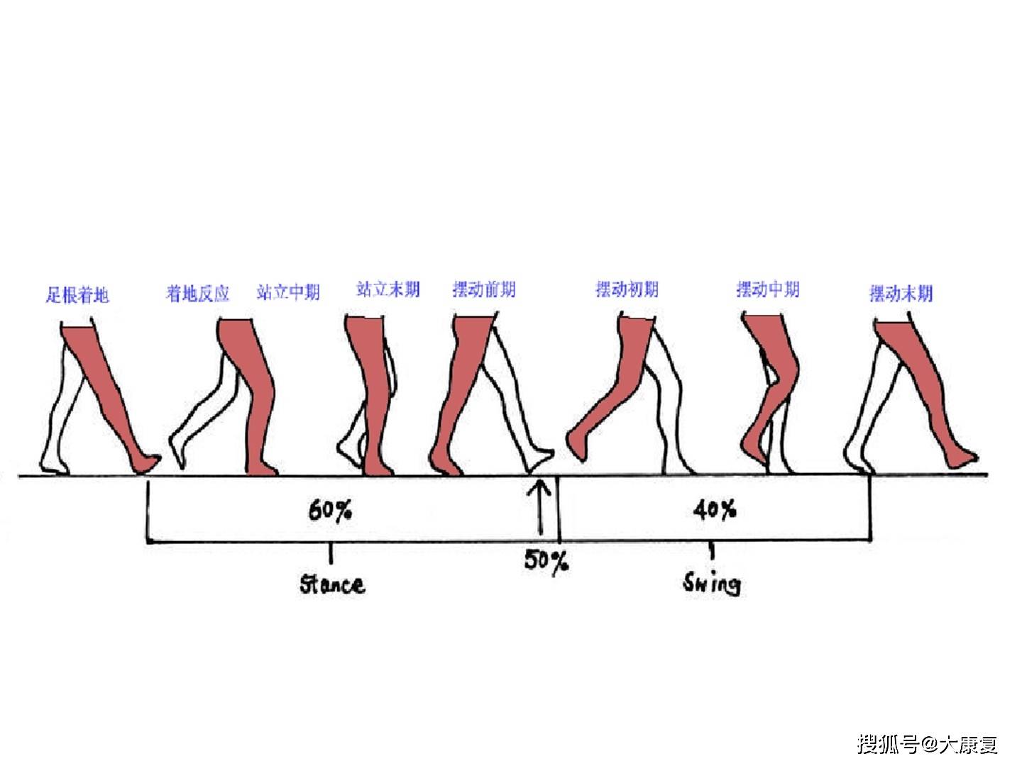 步态分析与步态训练