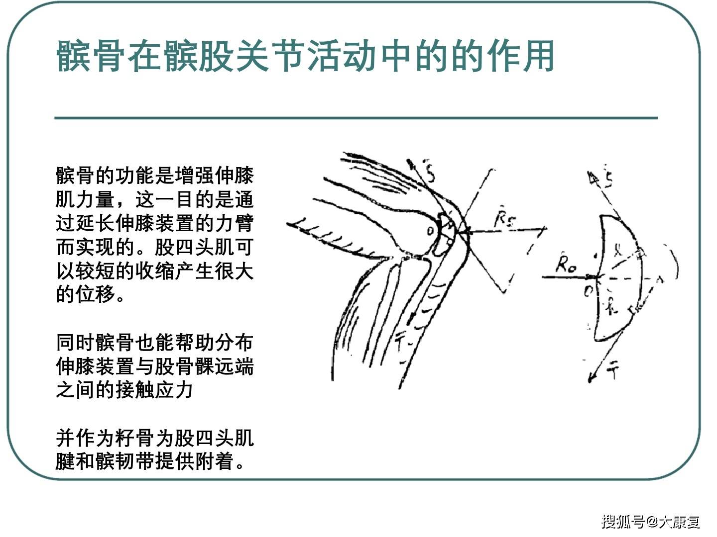 髌股关节生物力学浅识