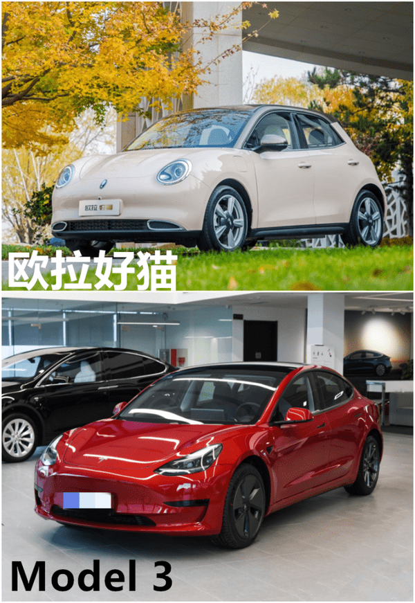 欧拉好猫叫板特斯拉model3 对比后小伙选了它