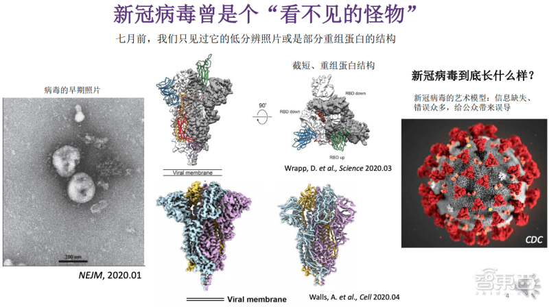 从揭秘病毒分子到研发药物,gpu如何成科学家手中利器?