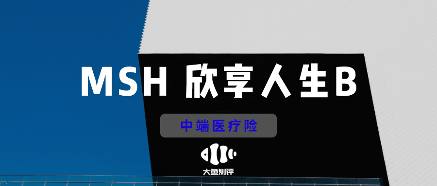 【医疗险测评】msh欣享人生b-中端医疗保险