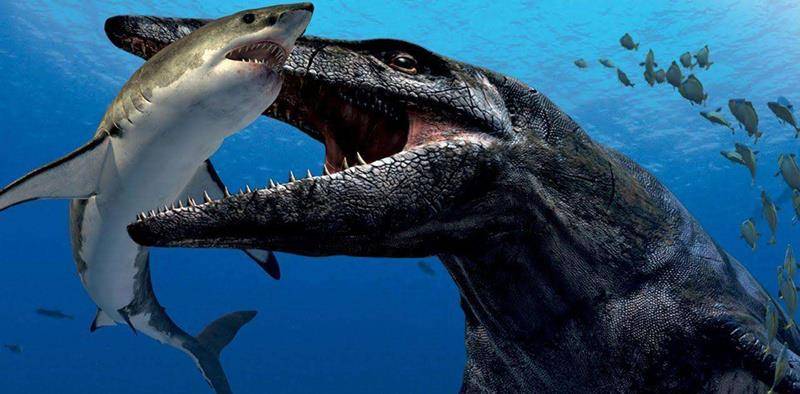 一口吞掉3米大白鲨,海底或藏着史前巨兽?