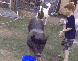 开心一刻:同学都出去上体育课,我偷拿班花的手机,偷偷