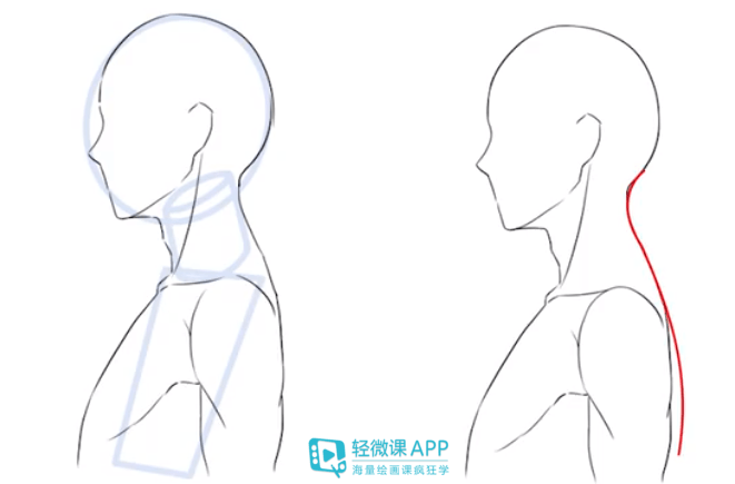 如何画好人物头颈肩关系?人物头颈肩绘画教程