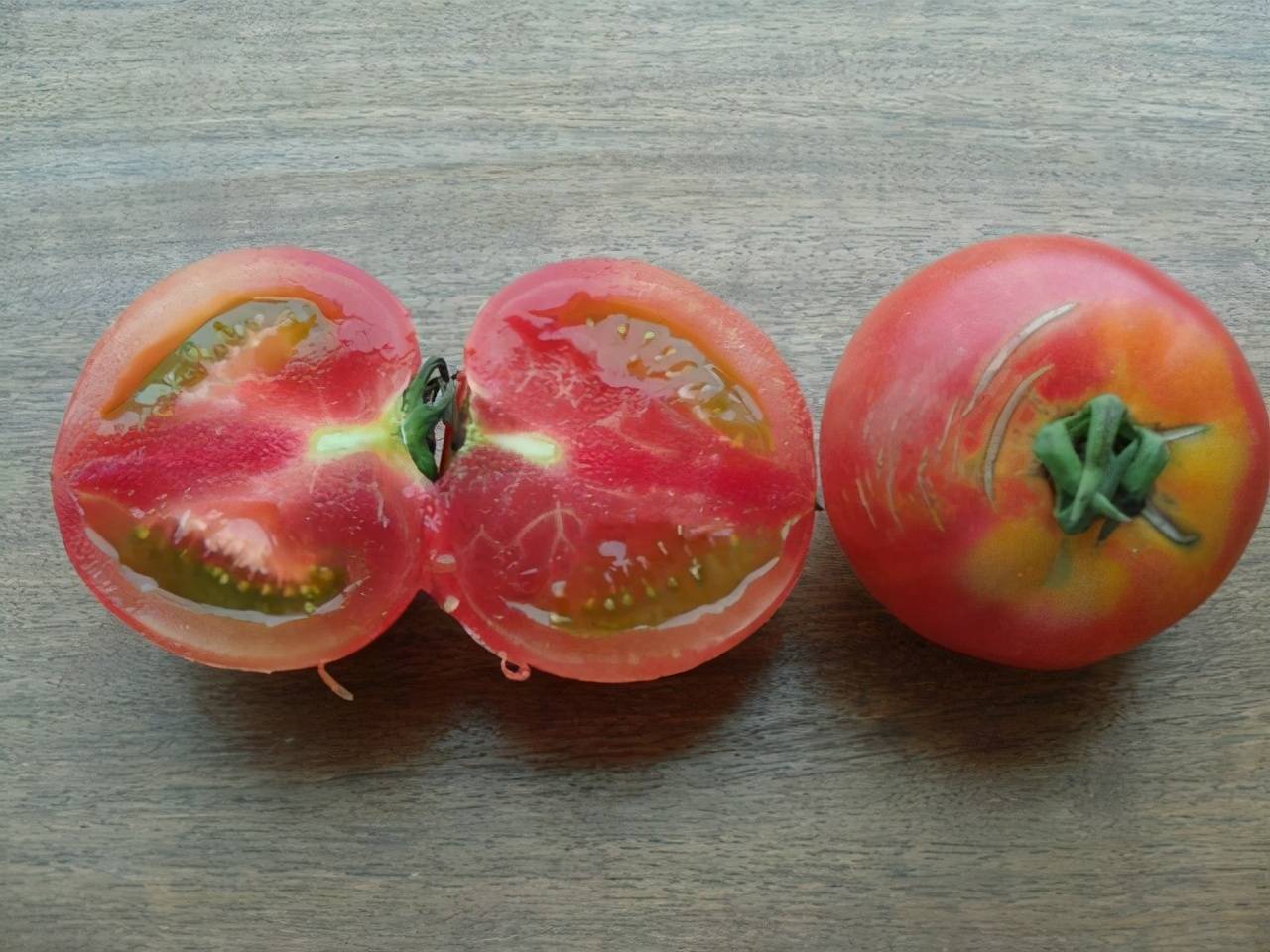 现在的西红柿不好吃是因为被催熟的?吃了有害健康?用实验告诉你