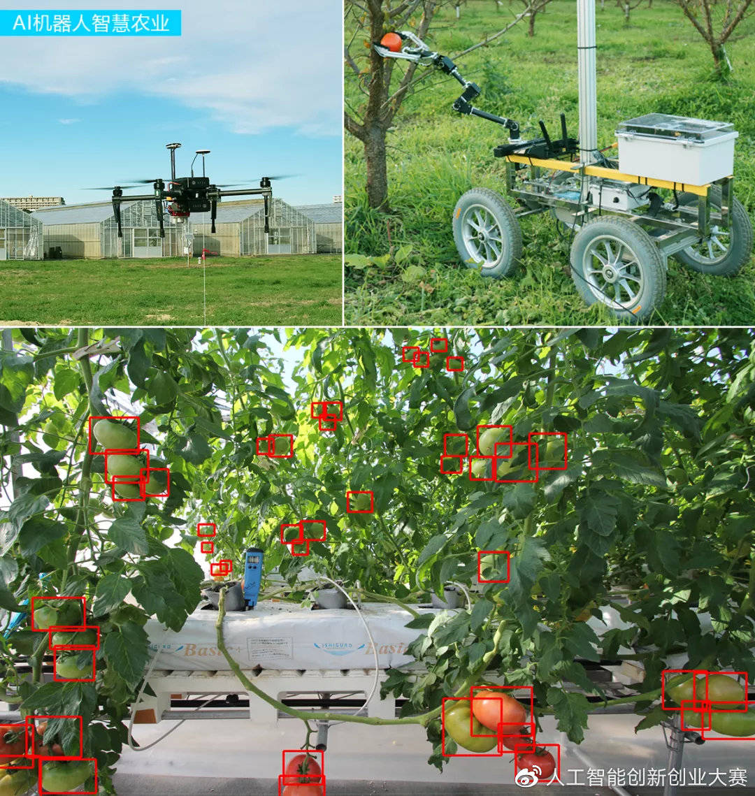 获奖项目介绍基于地空ai机器人的智慧农业解决方案广东视场科技有限