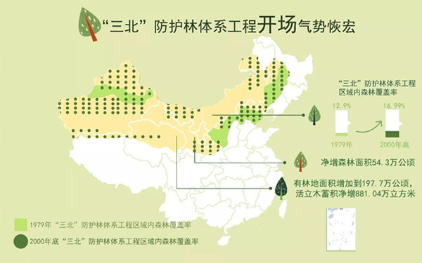 泓森槐:三北防护林真的发挥作用了吗