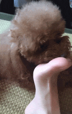 249_392 竖版 竖屏