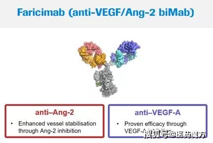 原创罗氏双特异性抗体faricimab治疗年龄相关性黄斑变性iii期研究成功