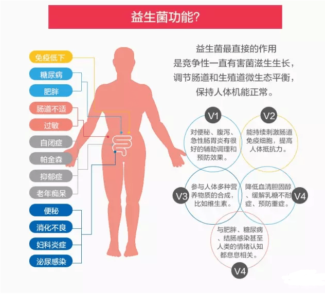 宇权老师:肠道健康才是世上最好的长寿秘诀