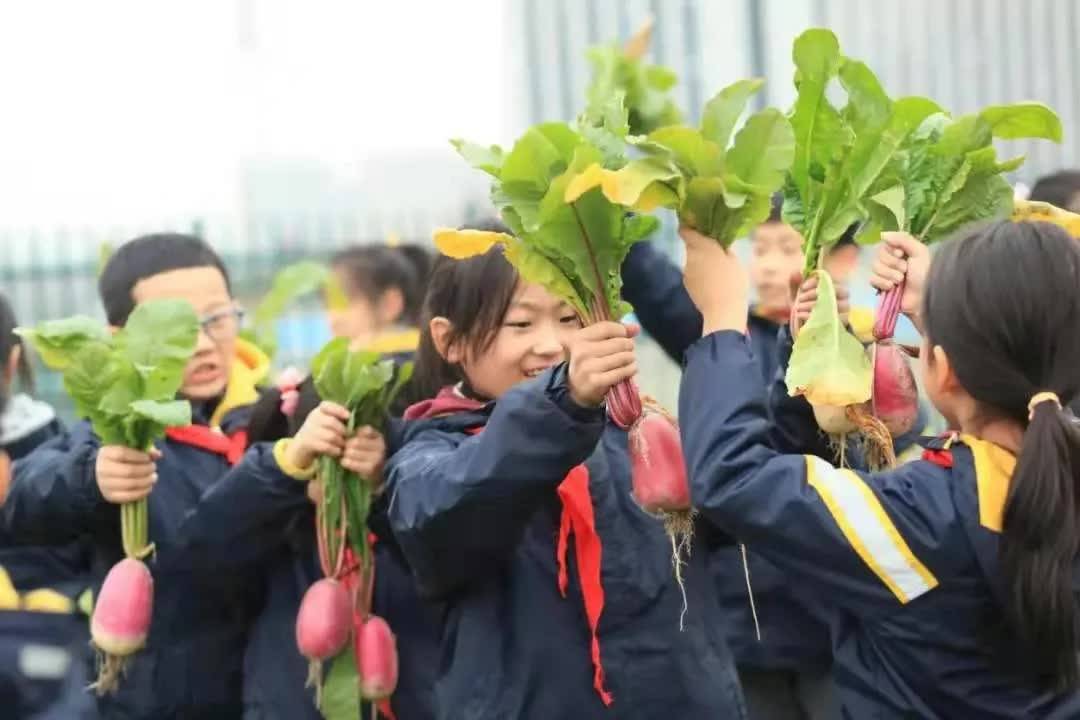 【研学观察】中小学劳动教育系列展示之—安丘市凌河小学