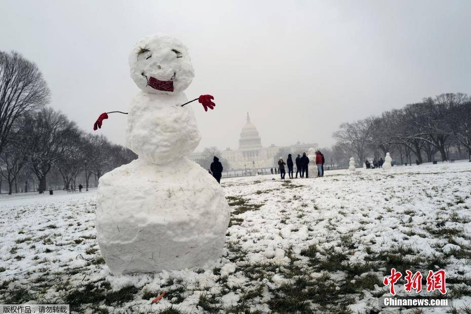 1/ 12 当地时间2021年1月31日,美国华盛顿,当地迎来强暴风雪天气