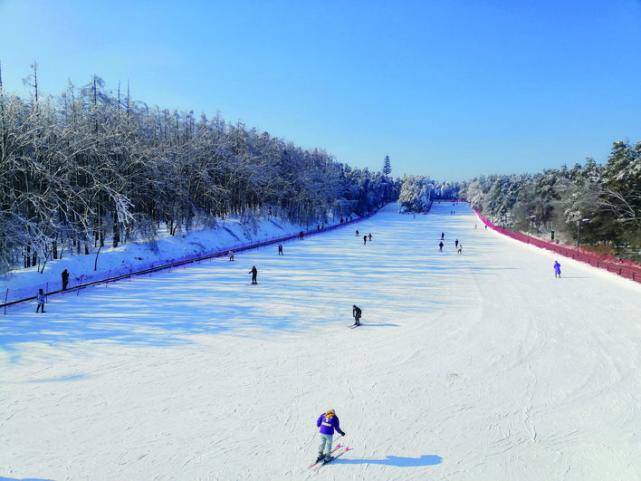 净月潭滑雪场 本组图片除署名外由各景区提供