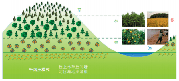 基于长期观测研究支撑亚热带红壤丘陵区森林生态系统恢复与可持续发展