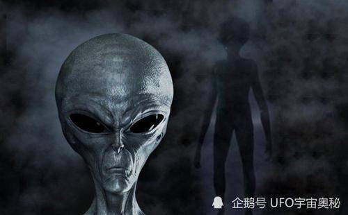 et外星生物事件到底是否是真实的