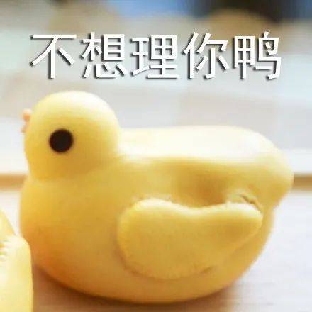 表情包鸭这是哪位可人儿67