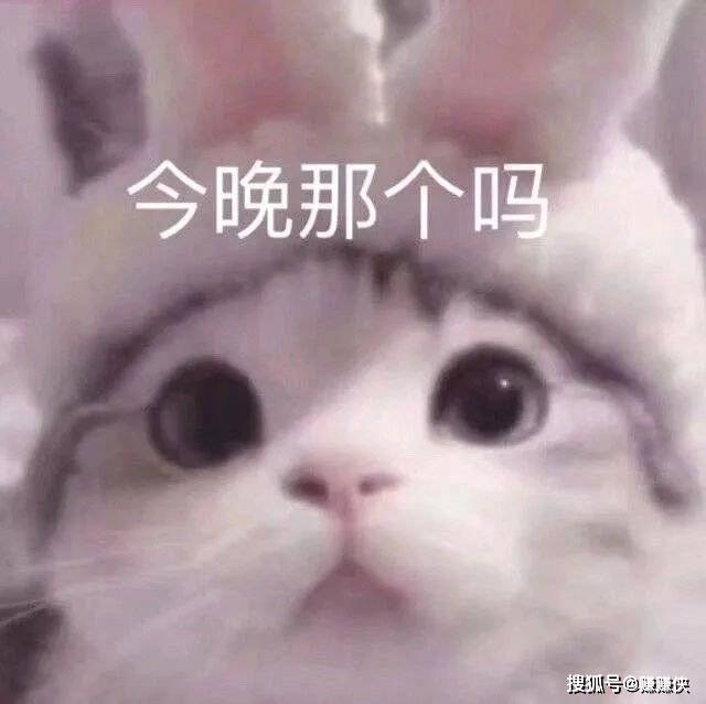 污污表情包:别吵吵,看片呢