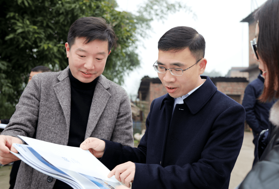 合江县委副书记,代理县长王波率队调研乡村振兴和农业重点项目建设