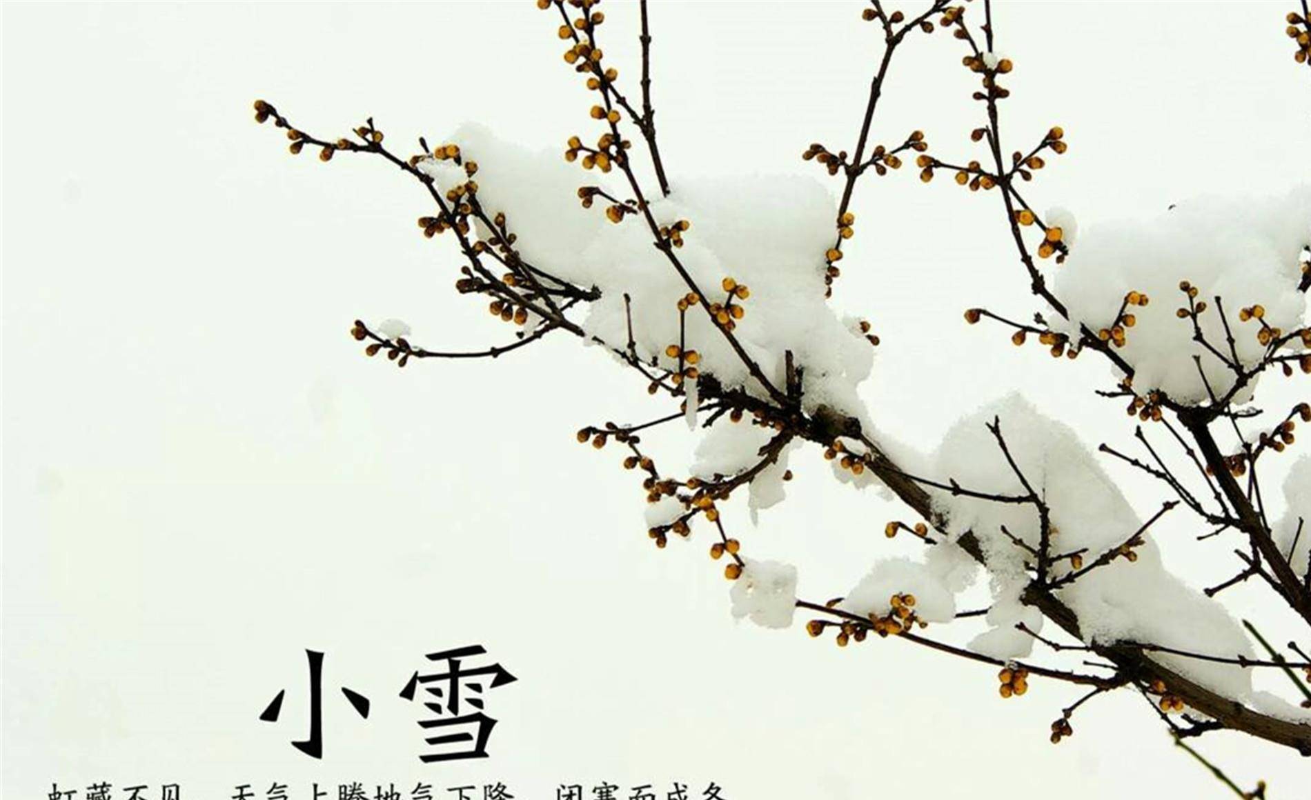 小雪节气:诗词,谚语,俗语收藏大全