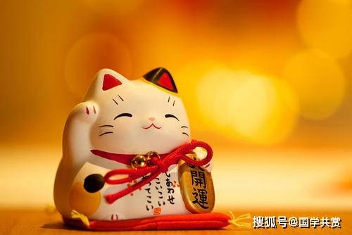 2021最新招财图片,最旺运的图片 原创2021年店里摆放招财猫的注意事项