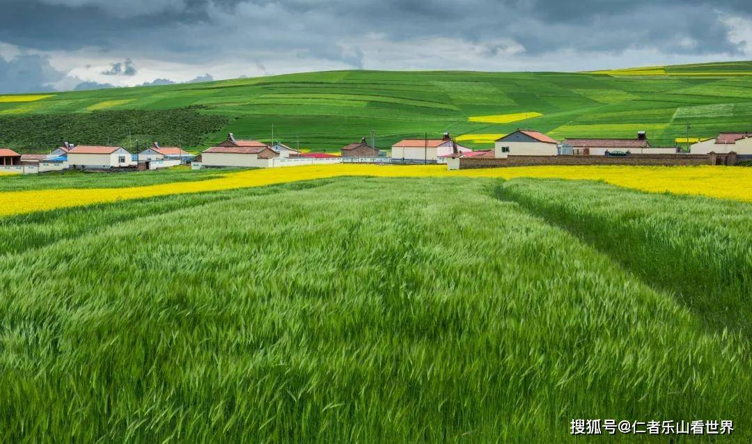 《绿色海洋》