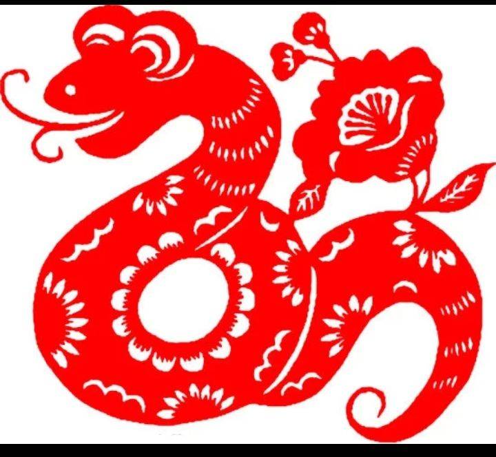 属蛇人2021大致运势?