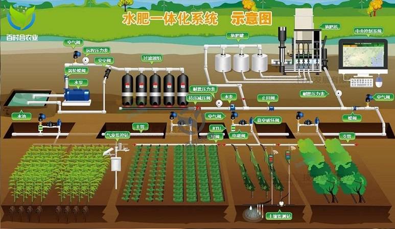 水肥一体化技术助力广东肇庆砂糖橘产业农民快速致富