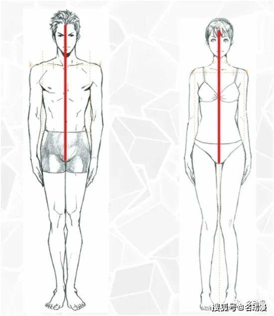 有很多同学在画人体的时候,喜欢让这条中轴线"一通到底",然后那效果